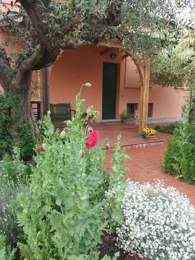 Villa Giuliana Vigonza Exterior foto